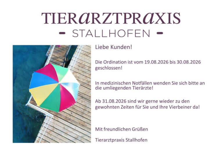 Urlaub_Sommer-01_2026_02-1
